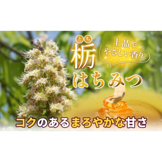 ふるさと納税 加工品等 はちみつ 岩手県 盛岡市 はちみつ 栃 藤原黄金蜂蜜 550g 瓶 国産はちみつ 純粋はちみつ 天然 無添加 単花蜜 とち 朝しぼり 完熟 ハチミ…の画像