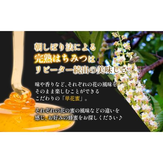 ふるさと納税 加工品等 はちみつ 岩手県 盛岡市 はちみつ 栃 藤原黄金蜂蜜 550g 瓶 国産はちみつ 純粋はちみつ 天然 無添加 単花蜜 とち 朝しぼり 完熟 ハチミ…の画像