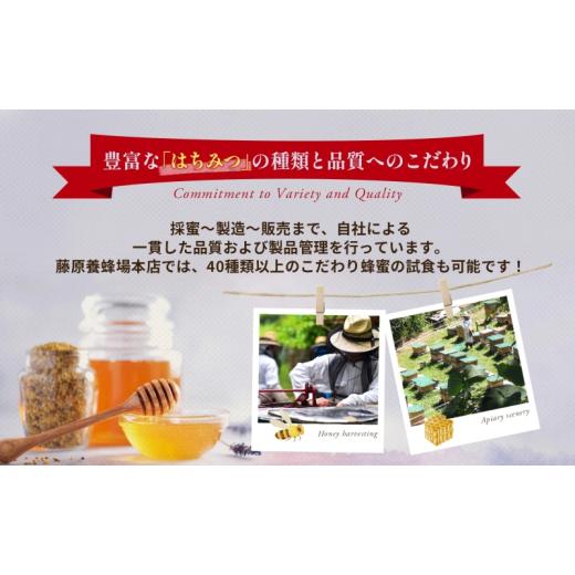 ふるさと納税 加工品等 はちみつ 岩手県 盛岡市 はちみつ 栃 藤原黄金蜂蜜 550g 瓶 国産はちみつ 純粋はちみつ 天然 無添加 単花蜜 とち 朝しぼり 完熟 ハチミ…の画像