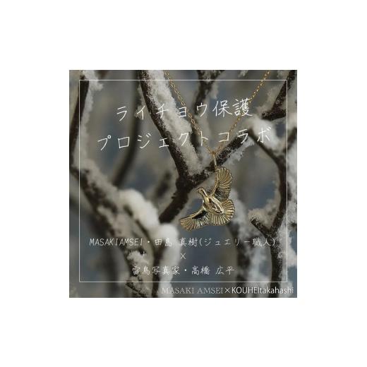 ふるさと納税 アクセサリー ネックレス 長野県 松本市  MASAKI AMSEI×高橋広平　雷鳥保護プロジェクトコラボ 羽ばたく雷鳥のペンダントトップ(＋45cmチェーン…の画像