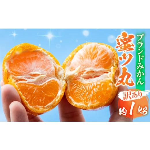 ふるさと納税 果物類 みかん 愛知県 豊橋市 先行予約 こだわり蜜柑 蜜ツ丸 家庭用 バラ詰め 約1kg+痛み補償250g マルカワ園芸 みかん こだわりみかん おみか…