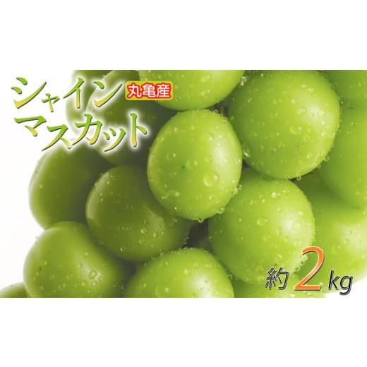 ふるさと納税 ぶどう マスカット 香川県 丸亀市 先行予約 パリッと甘い シャインマスカット 約2kg 2-5房 冷蔵 マスカット ぶどう 葡萄 ブドウ フルーツ 果物 …
