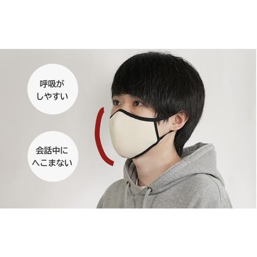 ふるさと納税 雑貨・日用品 鳥取県 八頭町 洗える3D布マスク（吸収速乾