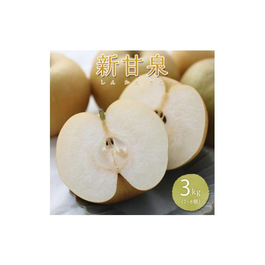ふるさと納税 梨 鳥取県 八頭町 新甘泉(秀) 3L 3kg