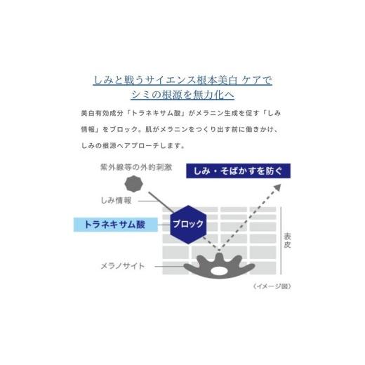 ふるさと納税 美容 静岡県 袋井市 トランシーノ薬用ホワイトニングスティック5.3g ２本セット ケア スキンケア 美容液 保湿 トランシーノ 第一三共