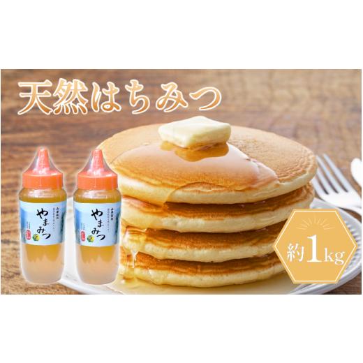 ふるさと納税 加工品等 はちみつ 徳島県 吉野川市 はちみつ 530g×2本 約1kg ボトルタイプ 国産 蜂蜜 ギフト プレゼント 個包装 無添加 無農薬 健康食品 山都…