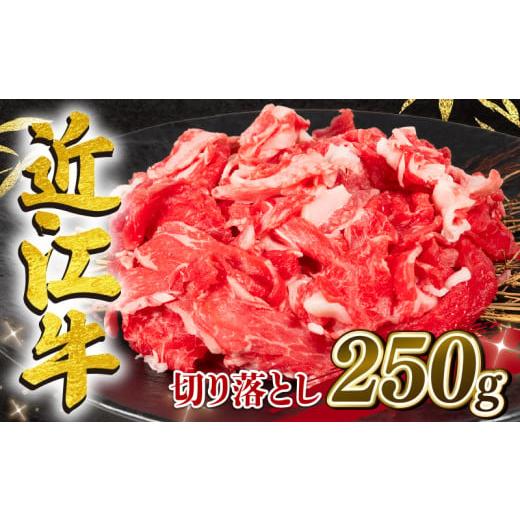 ふるさと納税 肉 滋賀県 竜王町 4月発送 近江牛 切り落とし 250g 冷凍 黒毛和牛 ( 和牛 ブランド 牛 牛肉 三大和牛 切り落し 牛丼 カレー 惣菜 おかず 切落…
