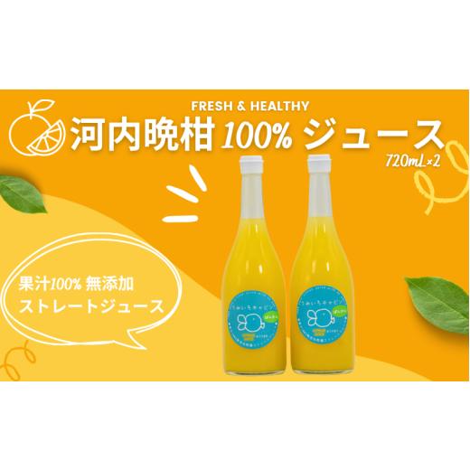 ふるさと納税 果汁飲料 みかん 愛媛県 愛南町 数量限定 河内晩柑 ( 愛南ゴールド ) ジュース 720ml 2本 セット 愛南 ゴールド オレンジジュース 柑橘 果汁 無…