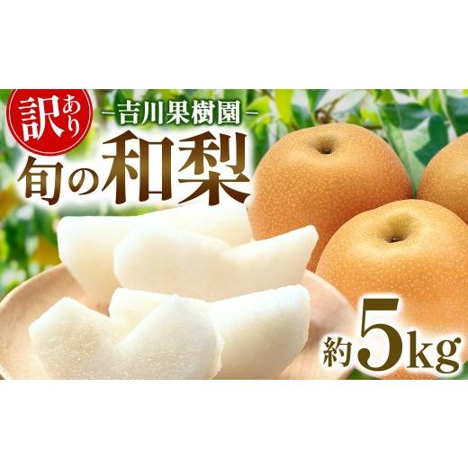 ふるさと納税 梨 宮城県 角田市 梨 訳あり 約 5kg 5キロ 和梨 なし ナシ 幸水 豊水 新高 フルーツ 果物 旬の果物 お取り寄せ グルメ 美味しい 甘い 人気 おす…