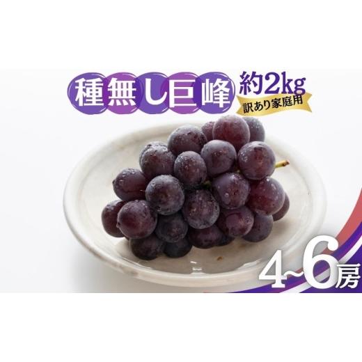 ふるさと納税 ぶどう 巨峰 長野県 山ノ内町 2026年9月〜発送 種無し巨峰 訳あり家庭用 約2kg 4〜6房 ぶどう 葡萄 巨峰 果物 信州 長野