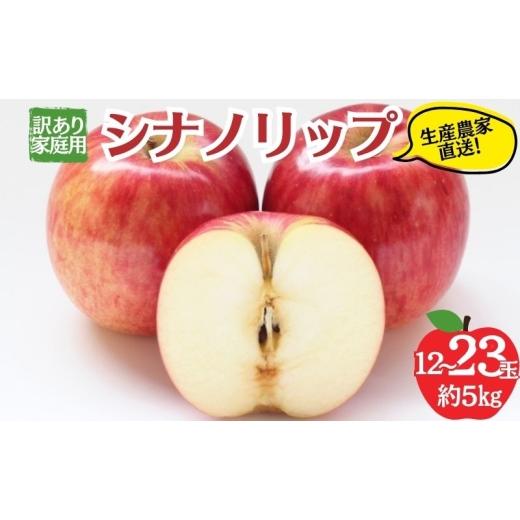 ふるさと納税 りんご 長野県 山ノ内町 2026年8月発送 シナノリップ 訳あり家庭用 約5kg 12〜23玉 りんご 果物 訳あり 信州 長野