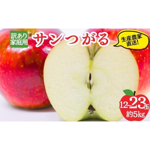 ふるさと納税 りんご 長野県 山ノ内町 2026年8月〜発送 サンつがる 訳あり家庭用 約5kg 12〜23玉 りんご 果物 訳あり 信州 長野