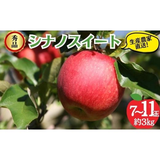 ふるさと納税 りんご 長野県 山ノ内町 2026年10月発送 シナノスイート 秀品 約3kg 7〜11玉 りんご 果物 信州 長野