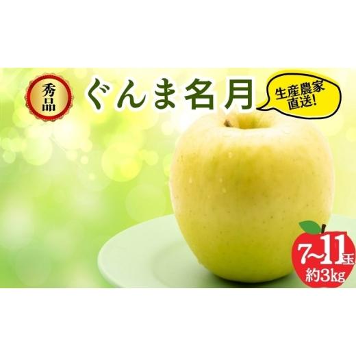ふるさと納税 りんご 長野県 山ノ内町 2026年11月発送 ぐんま名月 秀品 約3kg 7〜11玉 りんご 果物 信州 長野