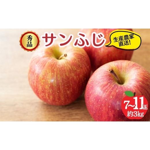 ふるさと納税 りんご 長野県 山ノ内町 2026年12月発送 サンふじ 秀品 約3kg 7〜11玉 りんご ふじ 果物 信州 長野