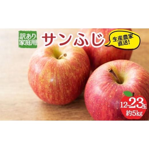 ふるさと納税 りんご 長野県 山ノ内町 2026年12月発送 サンふじ 訳あり家庭用 約5kg 12〜23玉 りんご 果物 訳あり 信州 長野