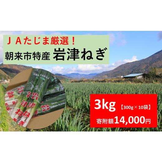 ふるさと納税 野菜類 ねぎ 兵庫県 朝来市 先行予約 JAたじま厳選 朝来市特産 岩津ねぎ 3kg(300g×10袋) 岩津ねぎ 3kg(300g×10袋) 14,000円寄附