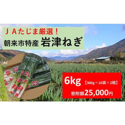 ふるさと納税 野菜類 ねぎ 兵庫県 朝来市 先行予約 JAたじま厳選 朝来市特産 岩津ねぎ 6kg(300g×10袋×2箱) 岩津ねぎ 6kg(300g×10袋×2箱) 25,000円寄…