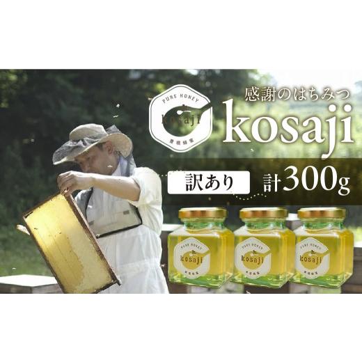 ふるさと納税 加工品等 はちみつ 愛知県 豊橋市 豊橋蜂蜜 kosaji 春