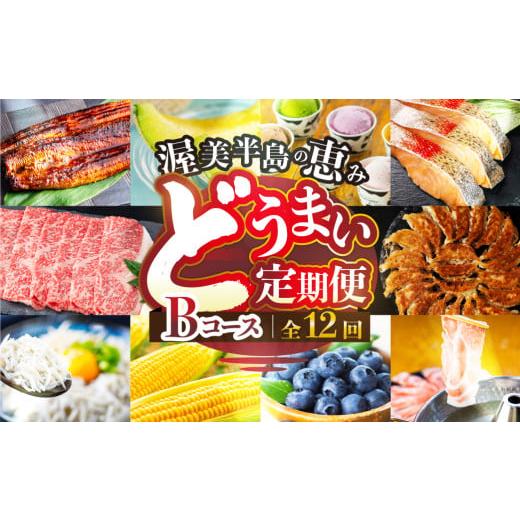 ふるさと納税 うなぎ 愛知県 田原市 渥美半島の恵み 定期便 12回 肉コース 肉 ( うなぎ / ブランド豚 / メロン / しらす/ 餃子 / ジェラート / とうもろ…