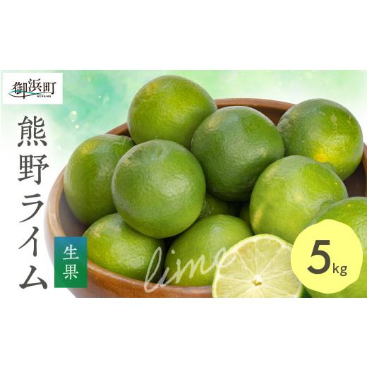 ふるさと納税 みかん・柑橘類 三重県 御浜町 ブライトライフの熊野ライム 5kg(生果) 国産 柑橘 ライム 生果 フルーツ 果物 三重県 御浜町
