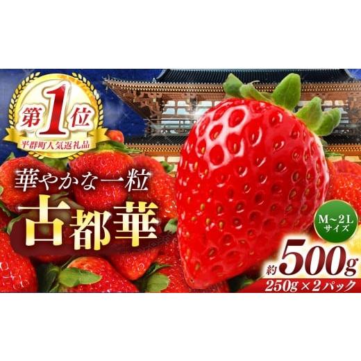 ふるさと納税 いちご 奈良県 平群町 平群の古都華 約 500g ( 2パック ) サイズ おまかせ ( M 〜 2L サイズ ) | 先行予約 フルーツ 果物 くだもの ブランド…