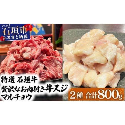 ふるさと納税 牛肉 ホルモン 沖縄県 石垣市 2025年11月以降順次発送 特選石垣牛の牛スジとマルチョウをご家庭で 牛スジ500gマルチョウ300gのセット | 沖縄 …