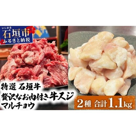 ふるさと納税 牛肉 ホルモン 沖縄県 石垣市 2025年11月以降順次発送 特選石垣牛の牛スジとマルチョウをご家庭で 牛スジ500g、マルチョウ300g×2の大容量セッ…