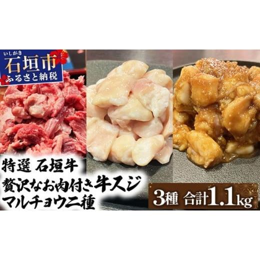 ふるさと納税 牛肉 ホルモン 沖縄県 石垣市 2025年11月以降順次発送 特選石垣牛の牛スジとマルチョウ、秘伝の味噌味をご家庭で 牛スジ500g、マルチョウ300g…