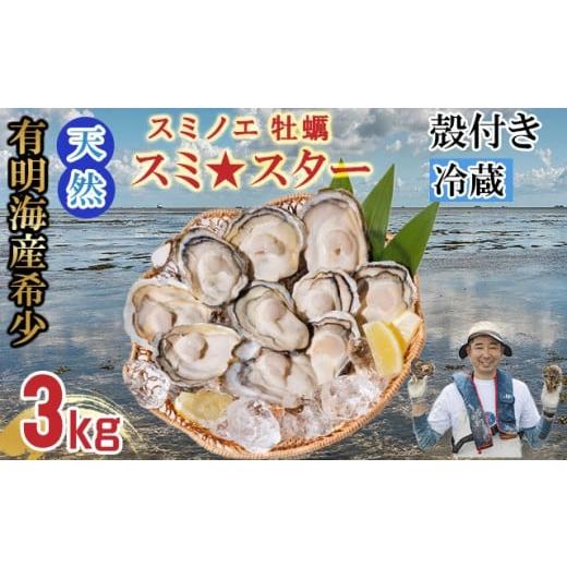 ふるさと納税 牡蠣 佐賀県 小城市 2月配送 先行予約 天然 有明海産「冷蔵スミノエ牡蠣」スミ スター3Kg 殻付き牡蠣 はしま海苔 配送月 2026年2月