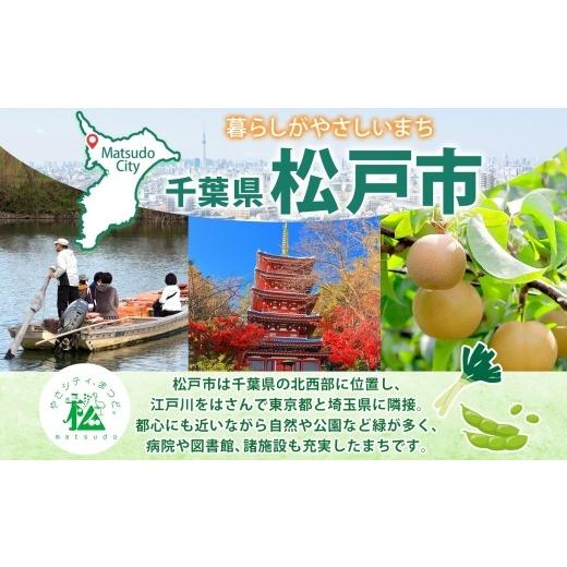ふるさと納税 パン 食パン 千葉県 松戸市 Zopfパン焼き小屋ツオップ セレクトパンセット