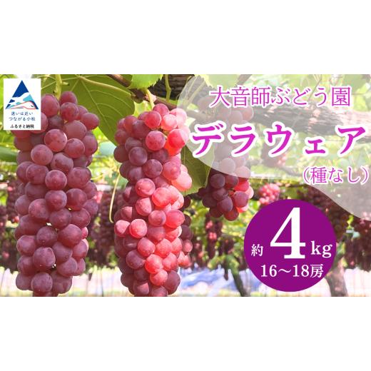 ふるさと納税 ぶどう 石川県 小松市 2026年 先行予約 ぶどう デラウェア デラウェア 4kg (16房~18房) 果物 ぶどう 葡萄 ふるさと納税 フルーツ | 石川県 小…