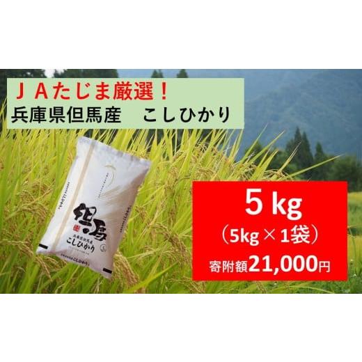 ふるさと納税 米 コシヒカリ 兵庫県 朝来市 先行予約 JAたじま厳選 兵庫県但馬産こしひかり 5kg(5kg×1袋)兵庫県北部産こしひかり 米食味ランキング特A獲…
