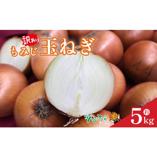 ふるさと納税 野菜類 玉ねぎ 愛媛県 松山市 訳あり もみじ玉ねぎ 約5kg 7月上旬頃〜11月下旬頃発送予定 | たまねぎ タマネギ 玉ねぎ 野菜 常備野菜 愛媛 松山…