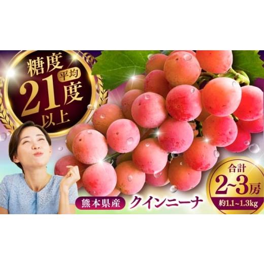 ふるさと納税 果物類 ぶどう 熊本県 菊陽町 限定数量 8月下旬発送開始 クインニーナ 約1.1kg〜1.3kg 合計2〜3房 / 糖度 21度 くいーんにーな 甘味 鮮やか あ…