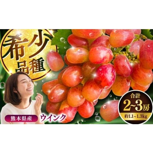 ふるさと納税 果物類 ぶどう 熊本県 菊陽町 限定数量 10月下旬発送開始 ウインク 約1.1kg〜1.3kg 合計2〜3房 りとる農房