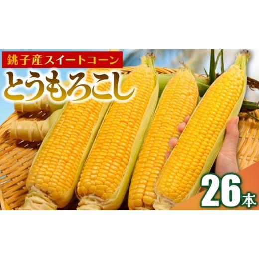 ふるさと納税 とうもろこし 千葉県 銚子市 先行予約 とうもろこし 26本 数量限定 期間限定 産地直送 鮮度抜群 大容量 旬の野菜 旬の味覚 夏の風物詩 甘い ト…