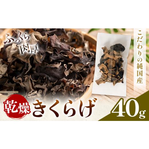 ふるさと納税 野菜類 きのこ 熊本県 山江村 乾燥きくらげ 40g 鷹乃産業有限会社 [30日以内に出荷予定(土日祝除く)]熊本県 球磨郡 山江村 きくらげ きのこ 野…