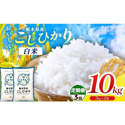 ふるさと納税 米 コシヒカリ 栃木県 那珂川町  栃木県共通返礼品 先行予約 令和8年度産 定期6回 訳あり 栃木県産コシヒカリ 10kg |定期便 選べる ふるさと 納…の画像
