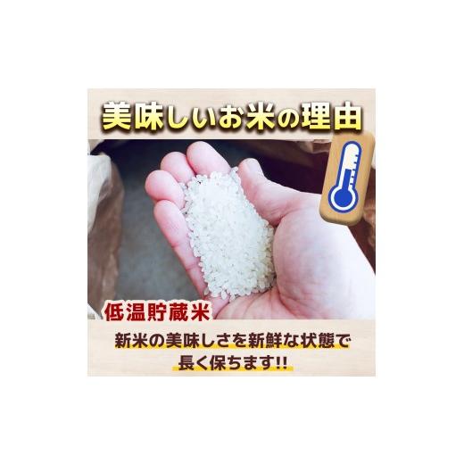 ふるさと納税 米 コシヒカリ 栃木県 那珂川町  栃木県共通返礼品 先行予約 令和8年度産 定期6回 訳あり 栃木県産コシヒカリ 10kg |定期便 選べる ふるさと 納…の画像