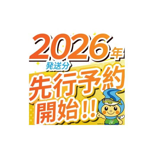 ふるさと納税 米 栃木県 那珂川町  栃木県共通返礼品 先行予約 令和8年度産 定期3回 訳あり 栃木県産とちぎの星 10kg |定期便 選べる ふるさと 納税 とちぎの…の画像