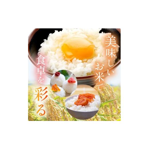 ふるさと納税 米 栃木県 那珂川町  栃木県共通返礼品 先行予約 令和8年度産 定期3回 訳あり 栃木県産とちぎの星 10kg |定期便 選べる ふるさと 納税 とちぎの…の画像