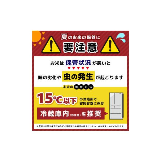 ふるさと納税 米 栃木県 那珂川町  栃木県共通返礼品 先行予約 令和8年度産 定期3回 訳あり 栃木県産とちぎの星 10kg |定期便 選べる ふるさと 納税 とちぎの…の画像