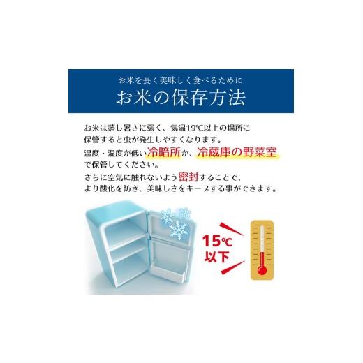 ふるさと納税 米 栃木県 那珂川町  栃木県共通返礼品 先行予約 令和8年度産 定期3回 訳あり 栃木県産とちぎの星 10kg |定期便 選べる ふるさと 納税 とちぎの…の画像