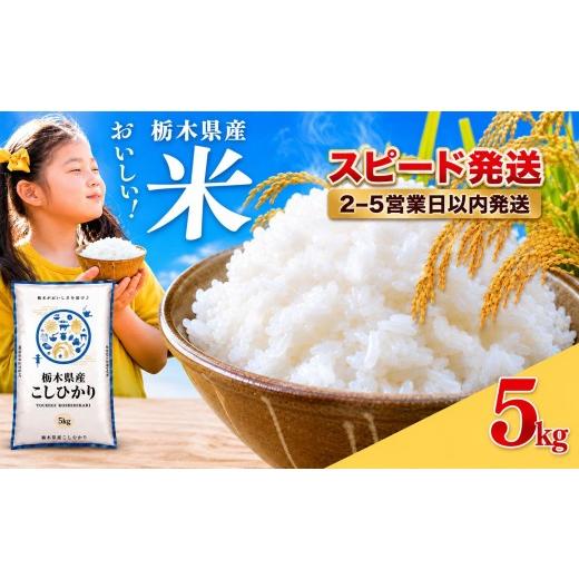 ふるさと納税 米 コシヒカリ 栃木県 真岡市 訳あり 栃木県産コシヒカリ 5kg | 真岡市産 こしひかり コシヒカリ 銘柄 お米 米 おにぎり おむすび ふるさと納税 …
