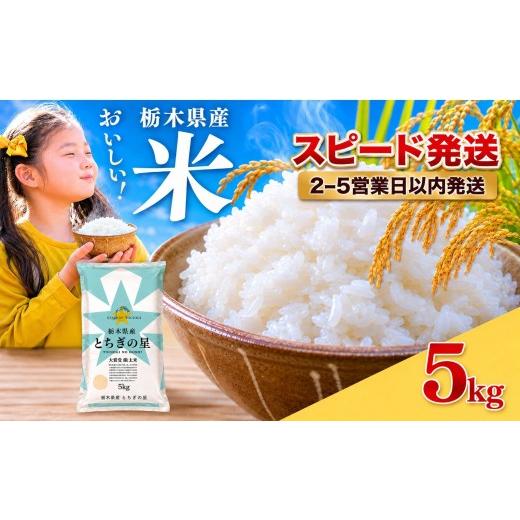 ふるさと納税 米 栃木県 真岡市 訳あり とちぎの星 5kg | 真岡市産 とちぎの星 銘柄 お米 米 おにぎり おむすび ふるさと納税 栃木県 真岡市 送料無料 とちぎ…