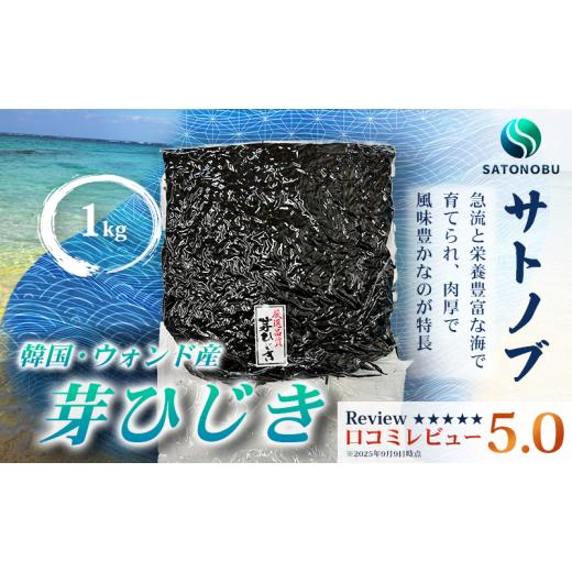 ふるさと納税 魚貝類 山口県 下関市 芽ひじき 1kg 1kg