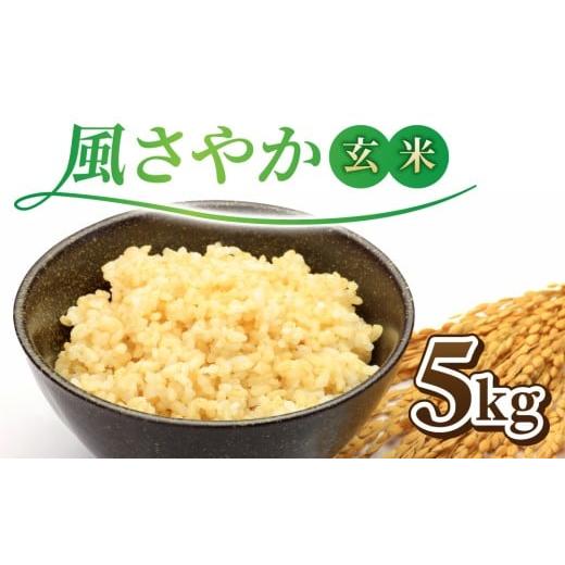 ふるさと納税 玄米 長野県 東御市 令和7年産新米 長野県オリジナル品種「風さやか」玄米5kg 2025年10月上旬以降順次発送
