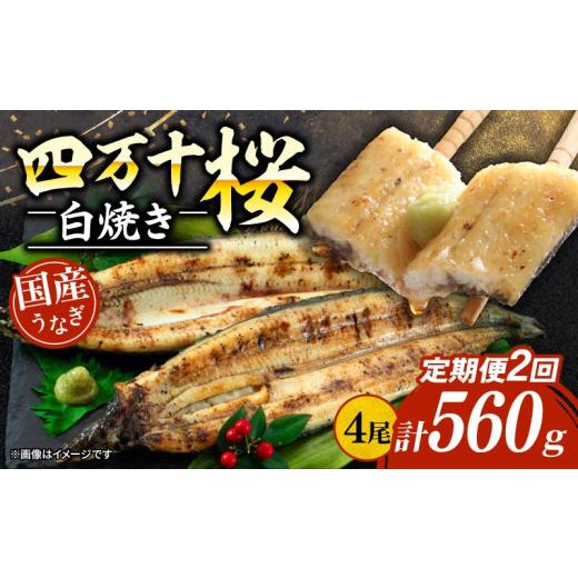 ふるさと納税 うなぎ 高知県 南国市  通常用 2回定期便 極上国産うなぎ四万十桜 白焼き約140g×4尾 | 完全無投薬 うなぎ 鰻 白焼き 定期便 国産 ウナギ 調理済…の画像
