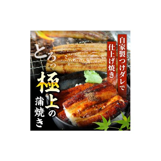 ふるさと納税 うなぎ 高知県 南国市  通常用 2回定期便 極上国産うなぎ四万十桜 白焼き約140g×4尾 | 完全無投薬 うなぎ 鰻 白焼き 定期便 国産 ウナギ 調理済…の画像